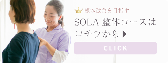 SOLA整体メニュー